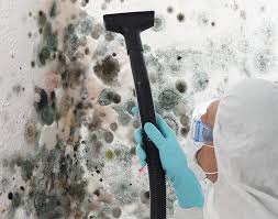  Telluride, CO Mold Removal Pros